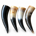 Buffalo Viking Drinking Horns Authentic Hand-carved Viking Spiral Horns