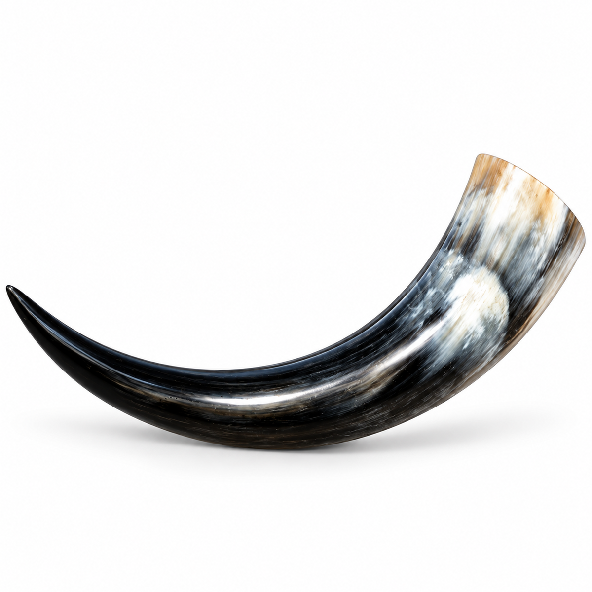 Handcrafted Buffalo Horn Drinking Horn