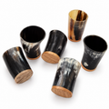 Handcrafted Buffalo Horn Tumblers with Wooden Base